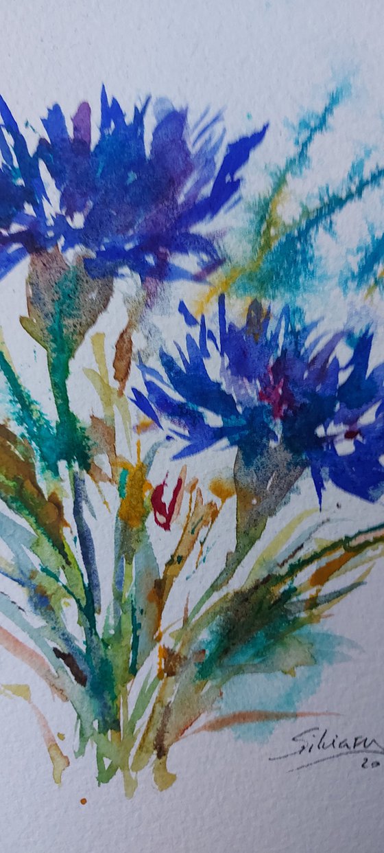 Cornflowers