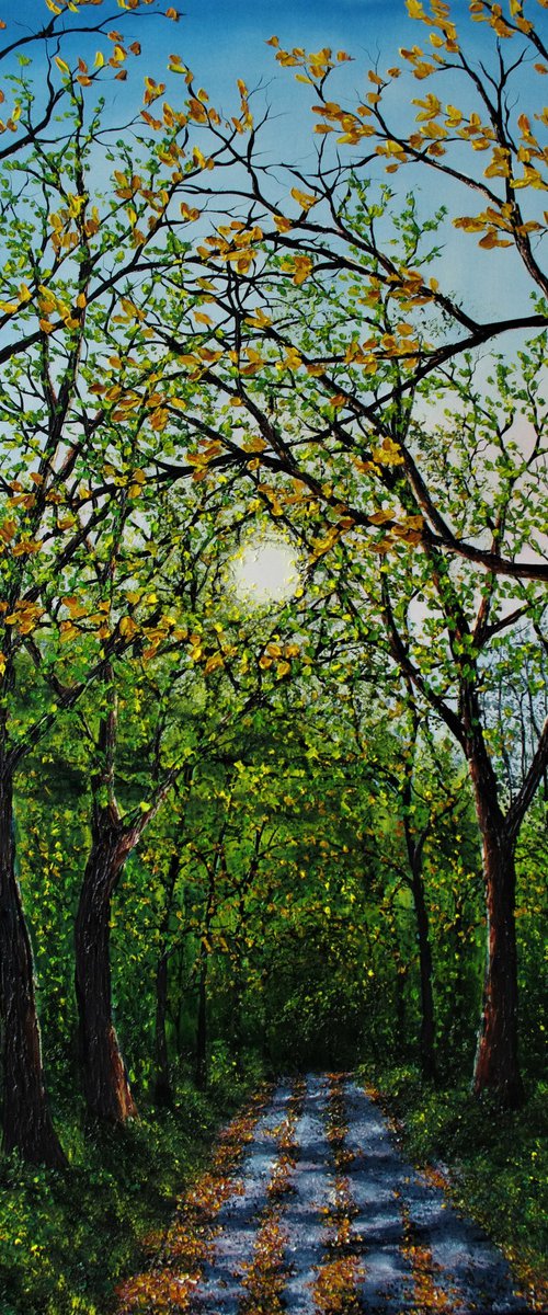 Forest Path by Hazel Thomson