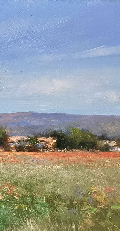 Mas Provençal vers Mane by Pascal Giroud