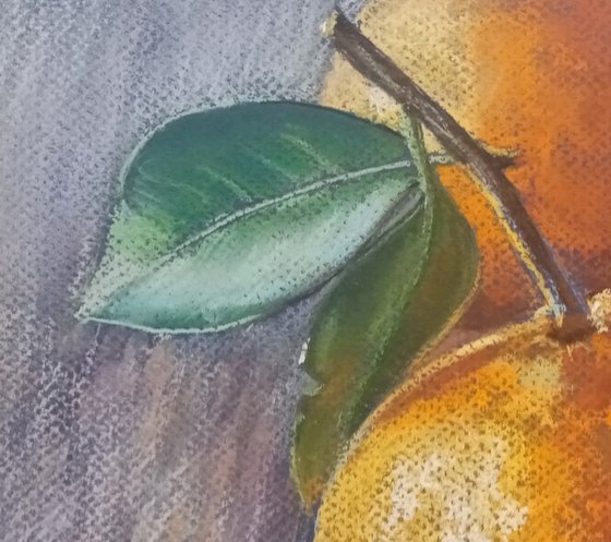 Tangerines with Leaves
