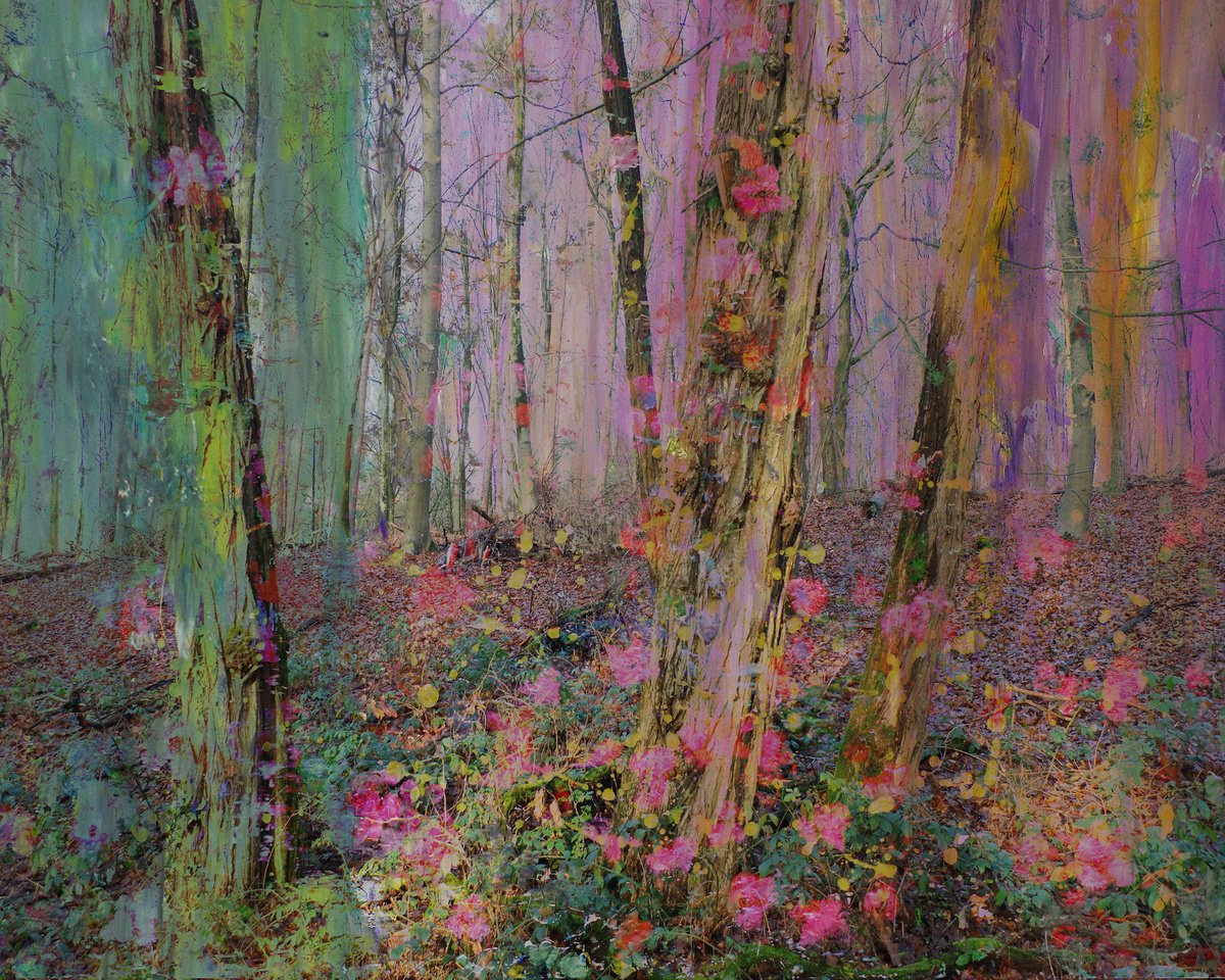 Expressive Landscape Photograph By Geert Lemmers Fpa, 39 X 31, Magical Nature Opus 90, Original Artwork