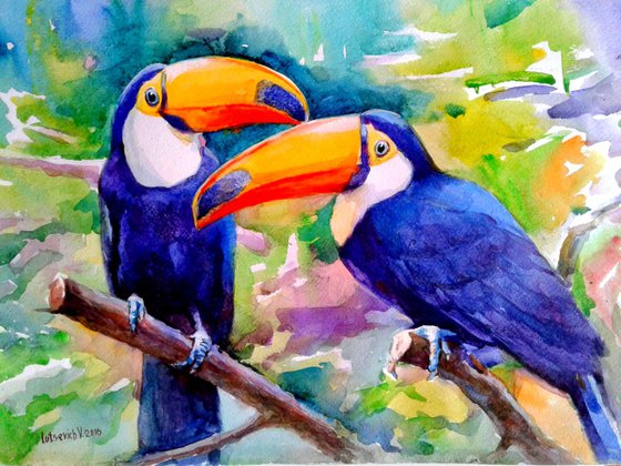 Toucans