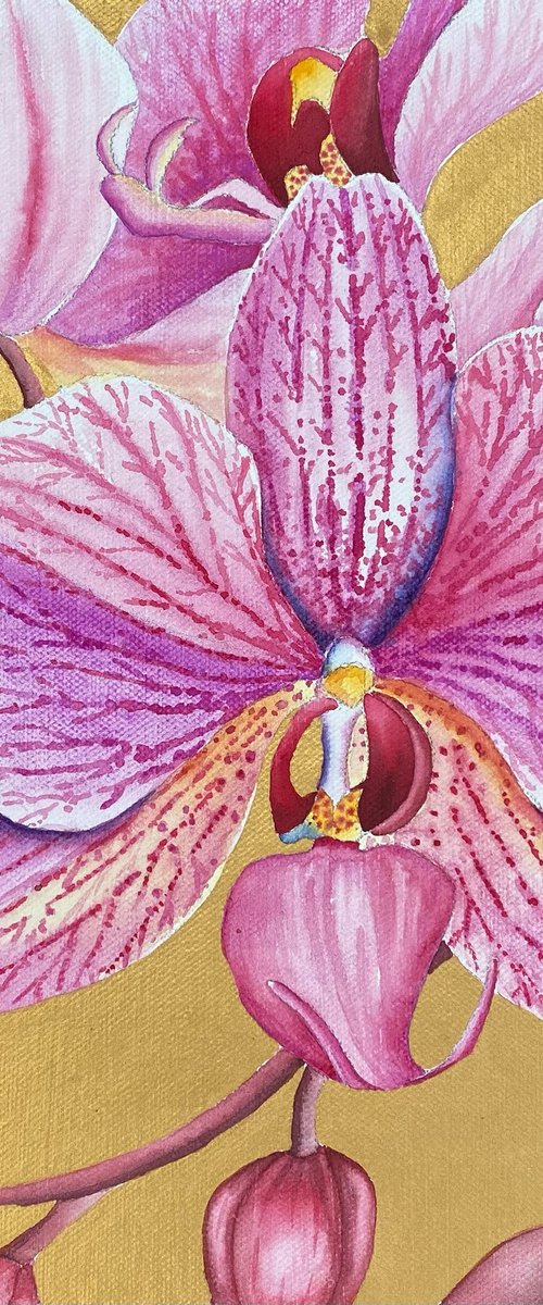 Into Paradise VI- Majestic Orchid by Jill Griffin