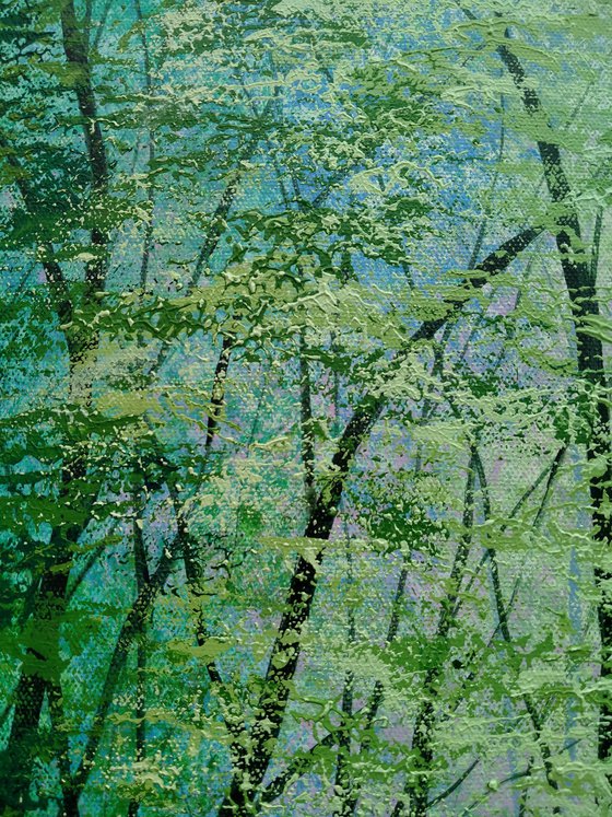 Sunlight Serenade Forest Glade