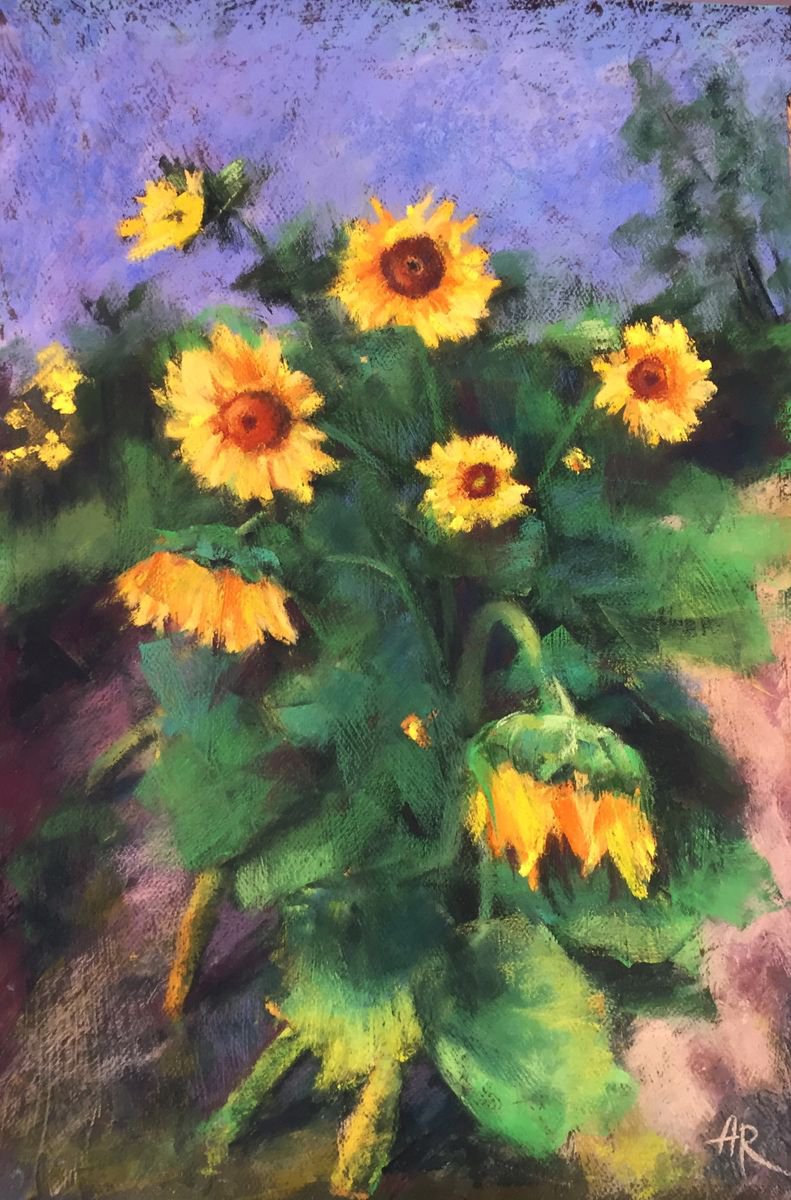 Sunflowers in August by Lena Ru