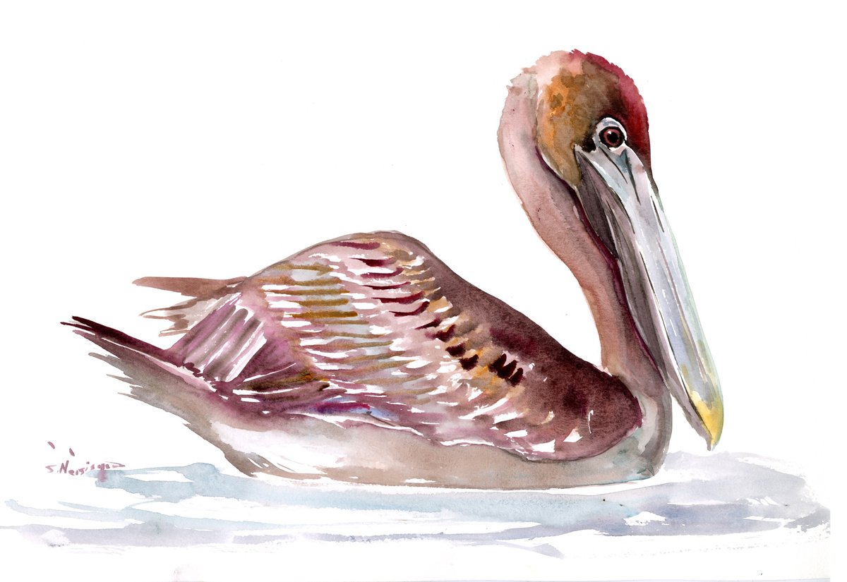 Brown Pelican by Suren Nersisyan
