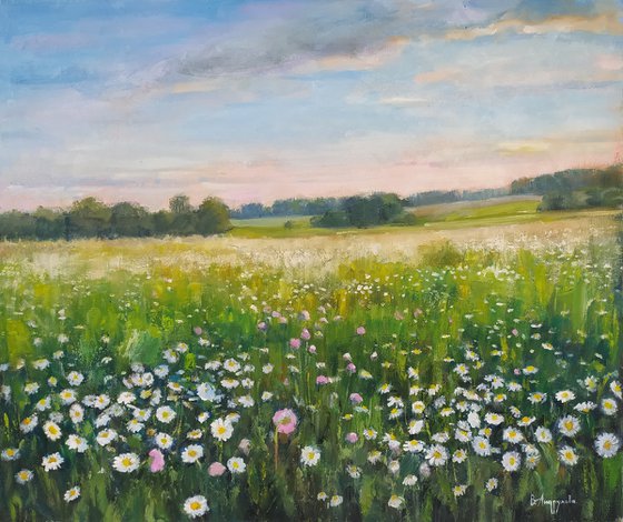 Field of daisies