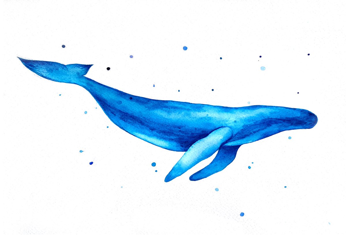 Illustrative Watercolour , Whale, Watercolor Painting By Luba Ostroushko, 12 X 16, Artwork For Sale On Artfinder