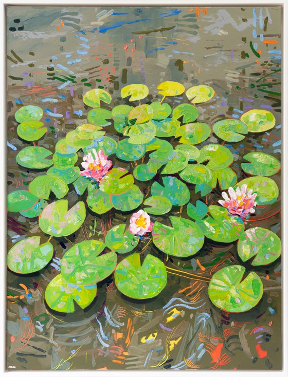 Tasman Lily Pond 46