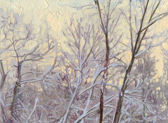 A frosty evening on the Chertanovka River