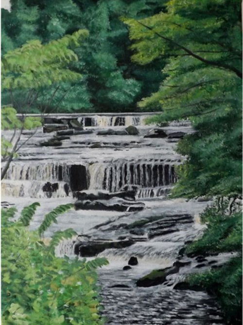 Aysgarth Falls by Lynne Harris