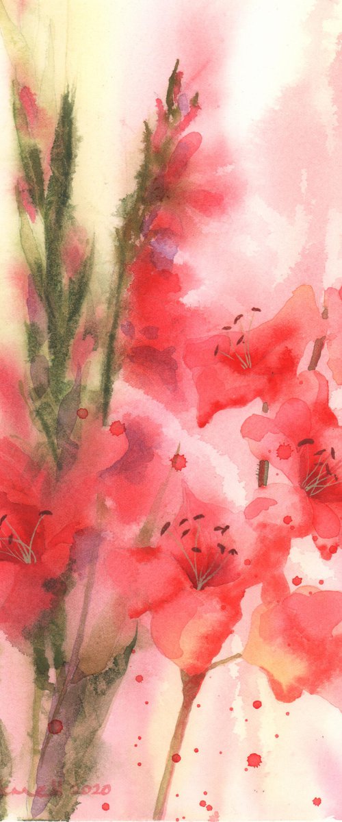 Gladioli Grace by Alison Fennell