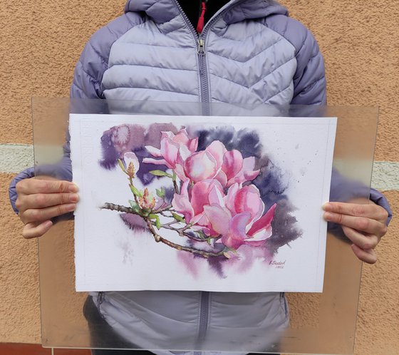 Ukrainian watercolor. Pink magnolias in Wroclaw. Stolen spring