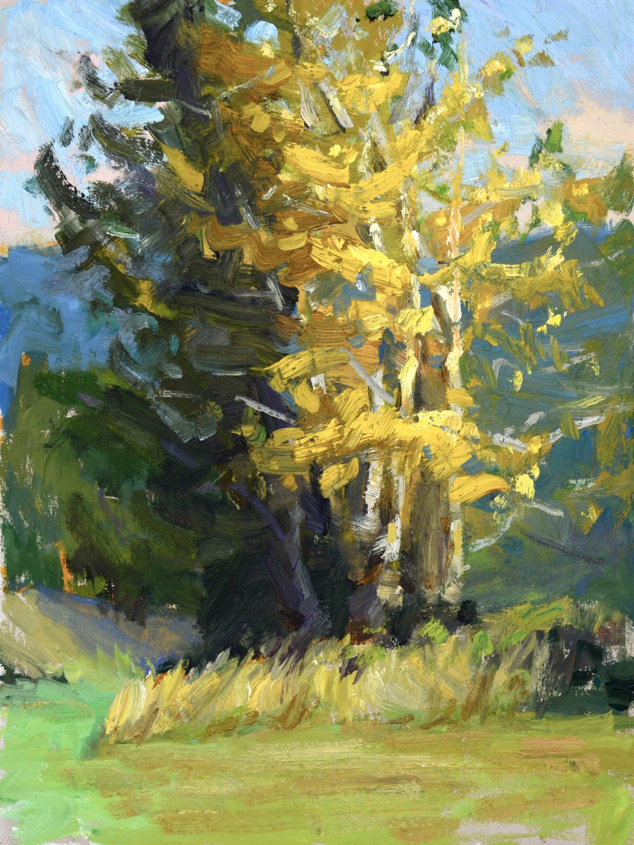 Impressionistic Landscape Oil Painting By Kristina Sellers, 9 X 12", Golden Aspens, Original Artwork