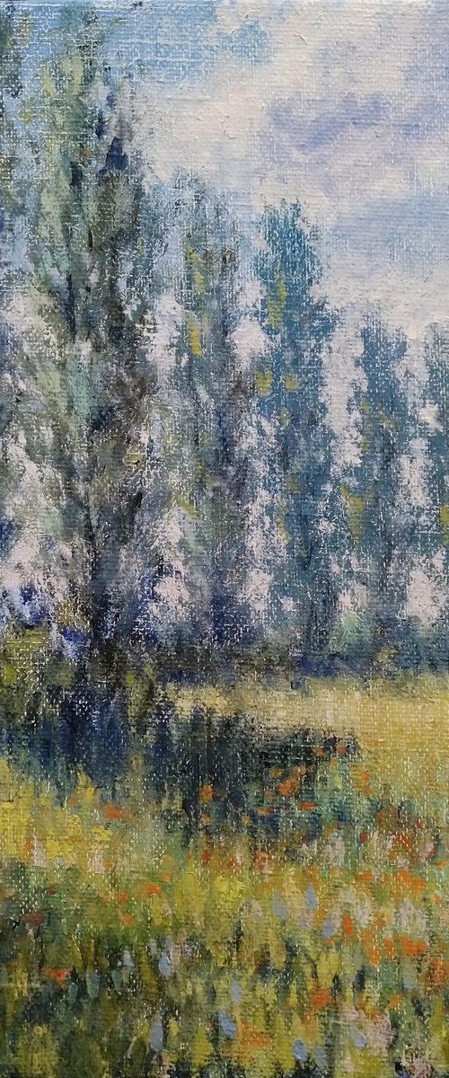 Early summer by Oleh Rak