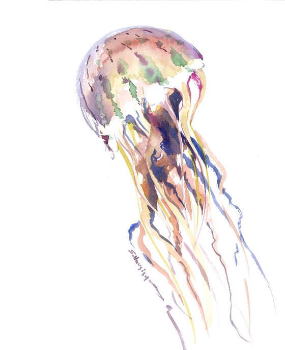 Jellyfish