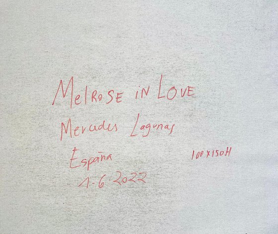 Melrose in Love