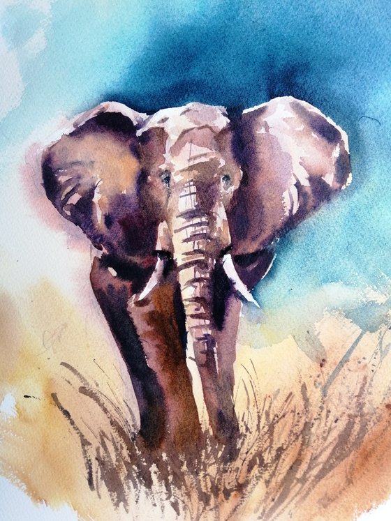 elephant 15