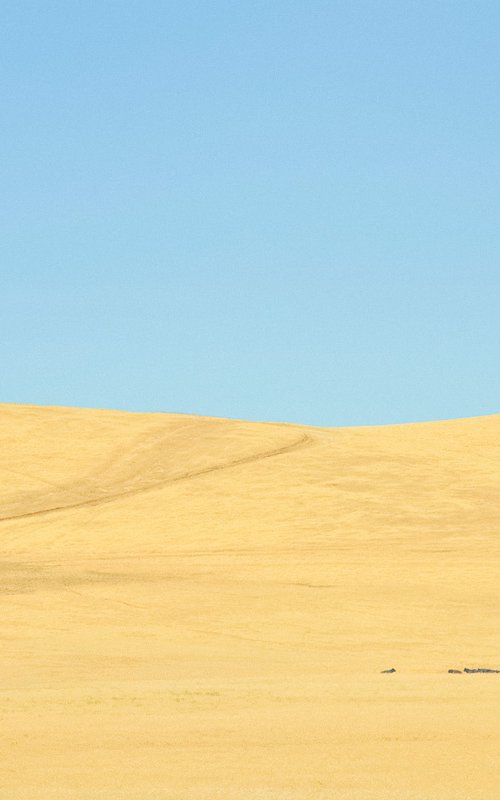 High Noon by Journey Gong