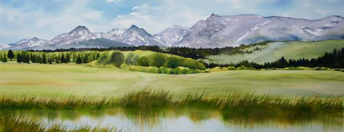 Alpine Meadow by Silvie Wright