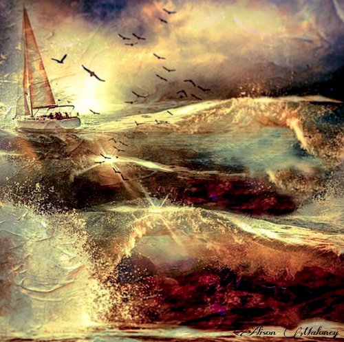 High Seas by Alison Maloney