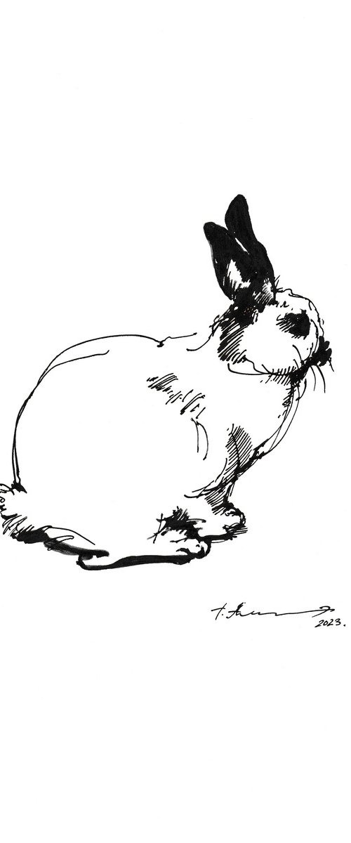 White Rabbit with Black Ears. The Rest. by Tatiana Alekseeva