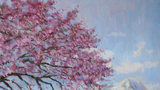 Almond Trees in Bloom