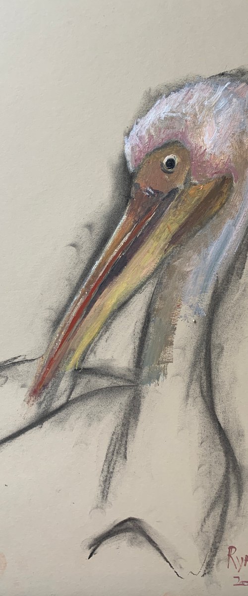 Pelican In St James Park St... by Ryan  Louder