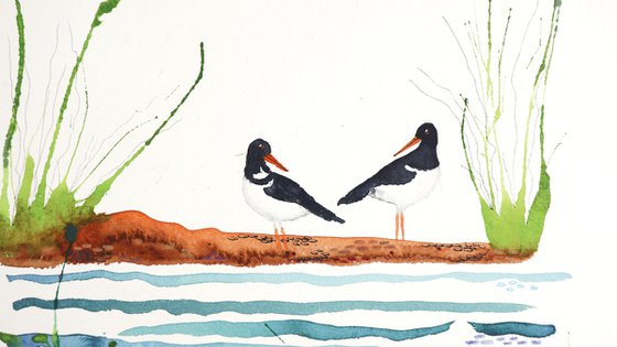Wetlands