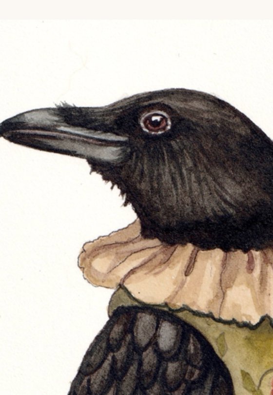 My Neighbour the Crow 3