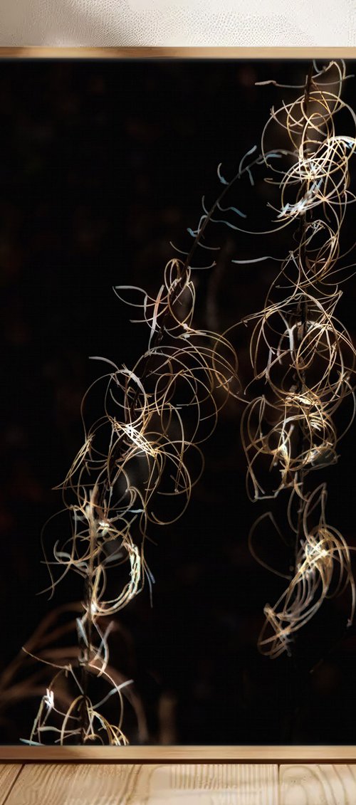 Glimmer #8 by Karim Carella