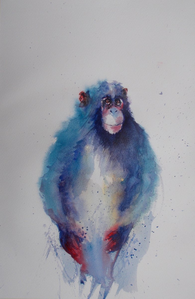 Impressionistic Animal Watercolour By Giorgio Gosti, 14 X 21, Chimpanzee 2, Original Artwork