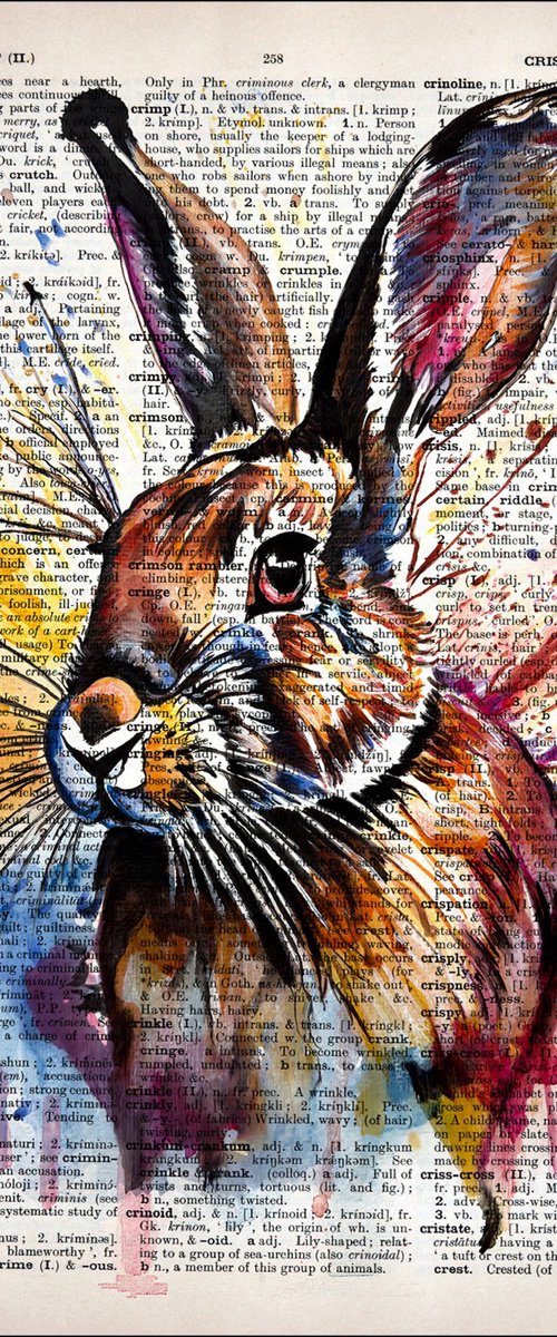 Colorful Rabbit by Misty Lady - M. Nierobisz