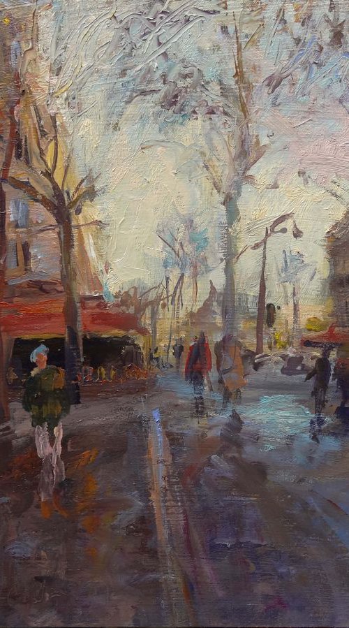 Boulevard st Martin , Paris by Manuel Leonardi