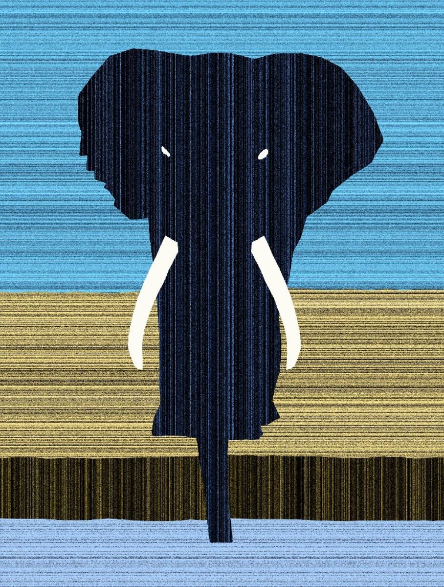 Elephant by Rennie Pilgrem