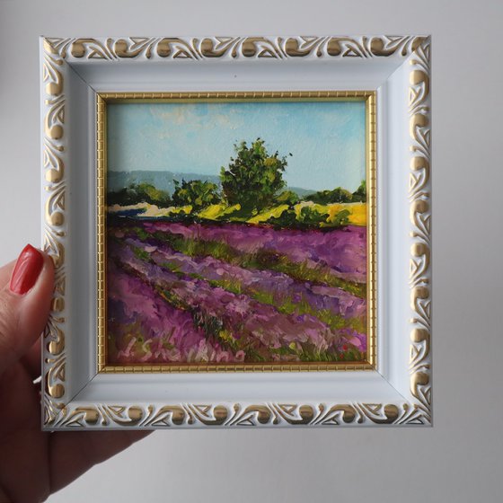 Lavender Field and Trees