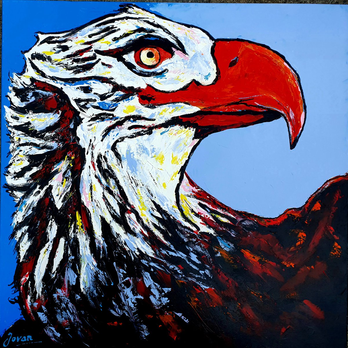 Eagle by Jovan Srijemac