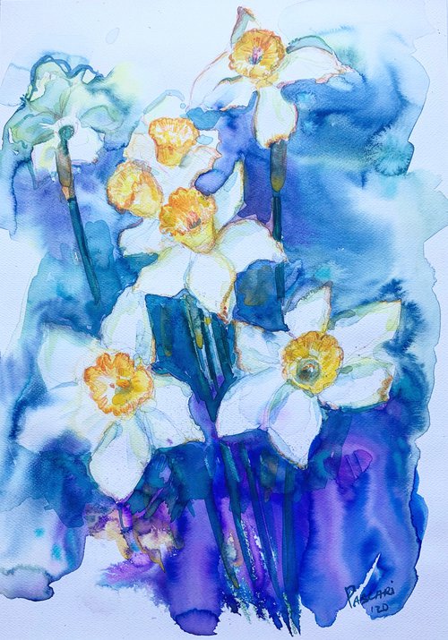 Narcis by Olga Pascari