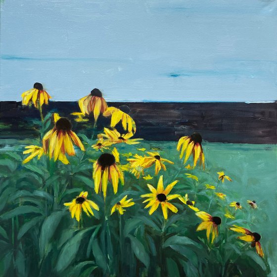 august flowers