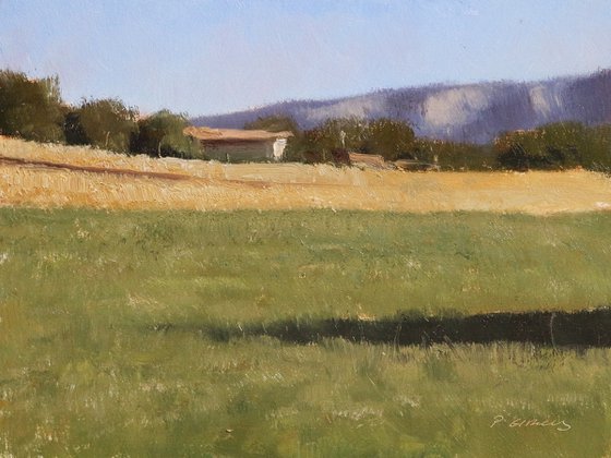 Farm in Provence