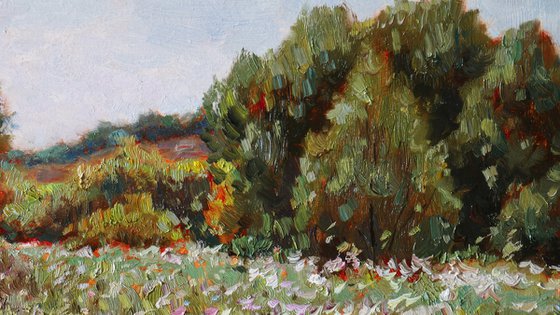 The Wildflower Rhapsody