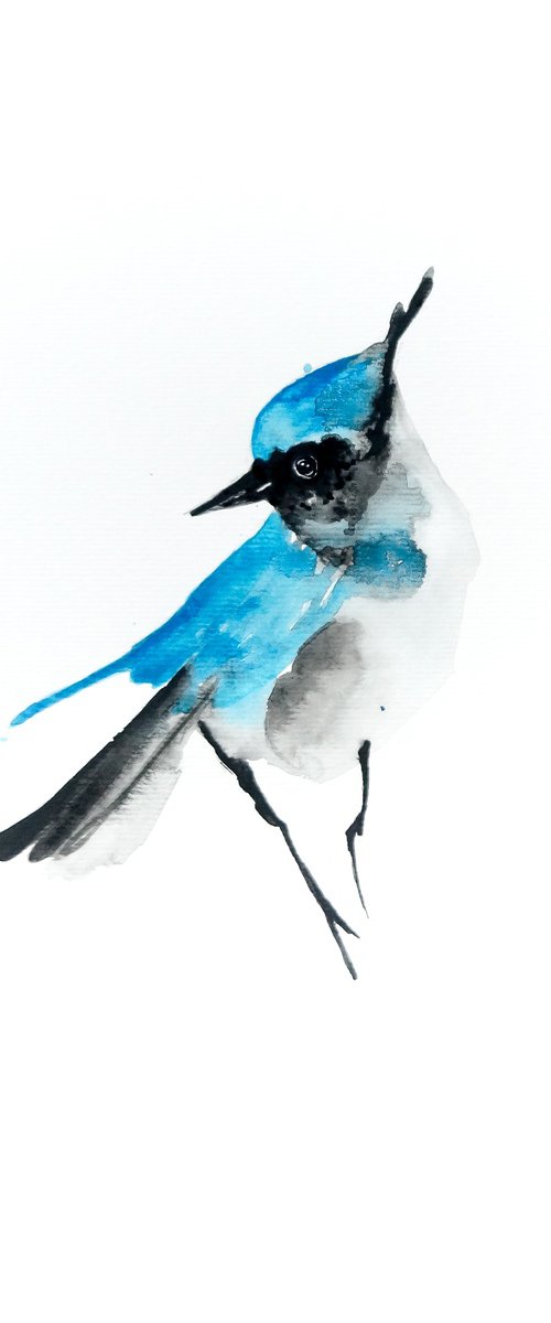 Bird by Nadia Moniatis