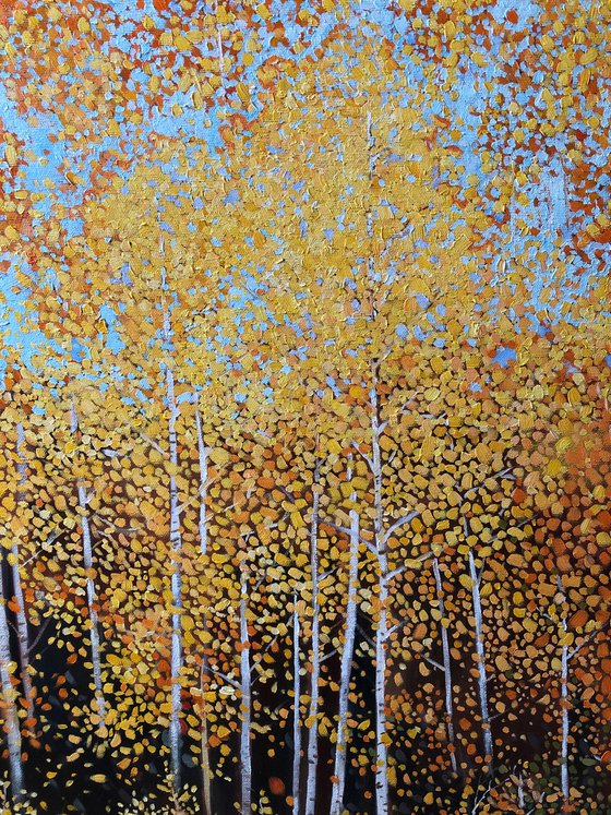 Yellow Aspen Tree