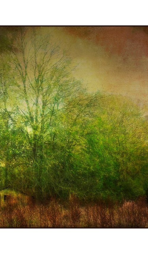The Hut in the Woods by Martin Fry