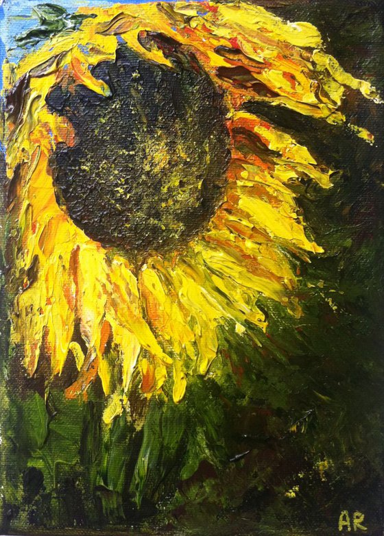 Sunflower