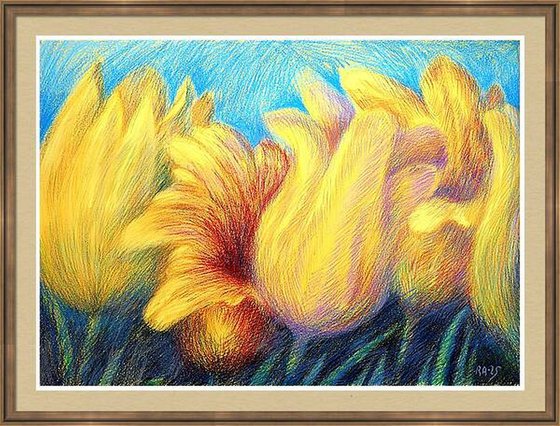Tulips Yellow 4
