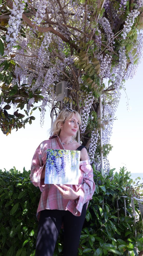 Wisteria