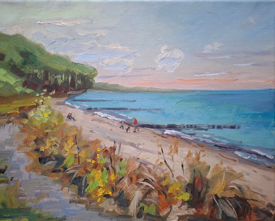 Baltic seashore
