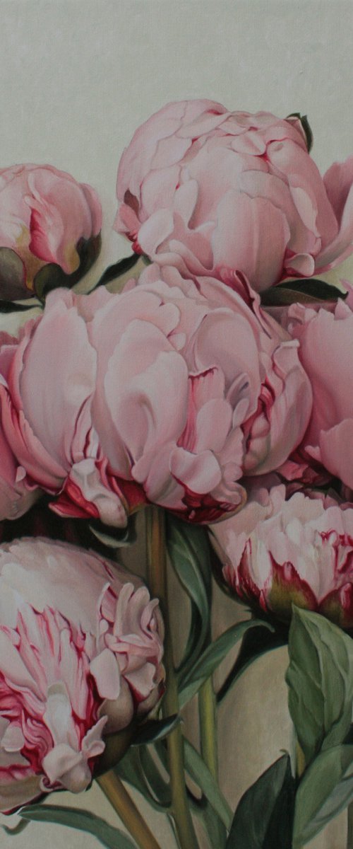 Seven pink peonies by Julia Diven