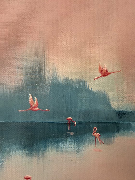 Pink Shadows on the Water